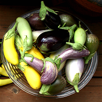 Eggplant