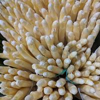 whiteAsparagus_1500x15001.jpg