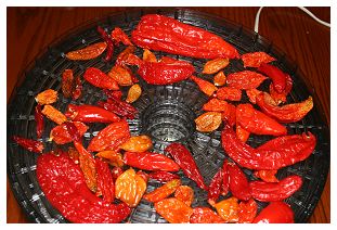 Dehydrating Peppers