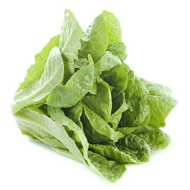 Romaine, Lettuce