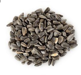 Sunflower Seeds